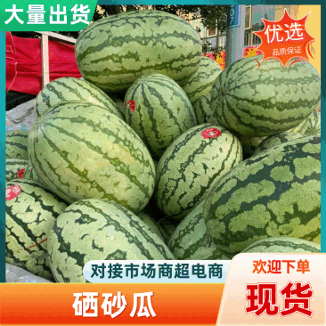 宁夏硒砂瓜西瓜大量上市产地直发一手货源皮薄肉多