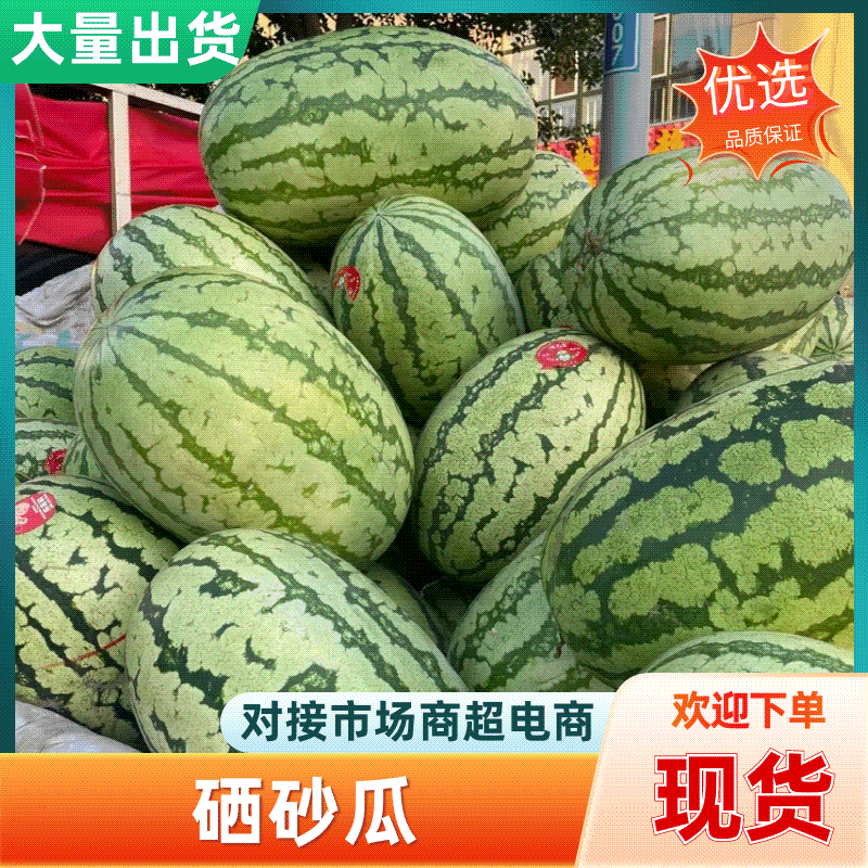 宁夏硒砂瓜西瓜大量上市产地直发一手货源皮薄肉多