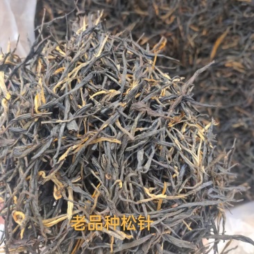 凤庆经典58