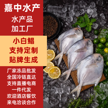 精品小白鲳3-4两全国可发价格透明工厂直销