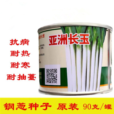 亚洲长玉钢葱种子90g耐抽薹叶片厚纲葱种子铁杆大葱种