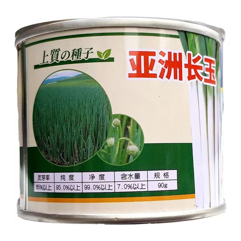 亚洲长玉钢葱种子90g耐抽薹叶片厚纲葱种子铁杆大葱种
