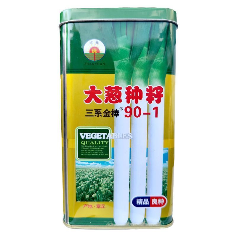 章丘大葱种子200g三系金棒大梧桐大葱种子叶厚蜡粉多