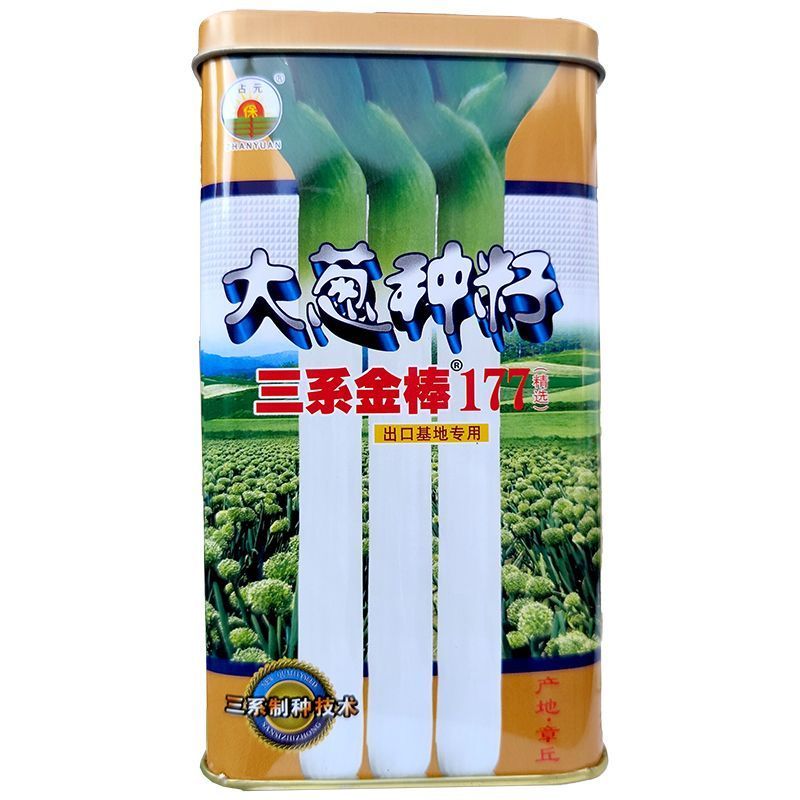 章丘大葱种子200g三系金棱177大梧桐大葱种子