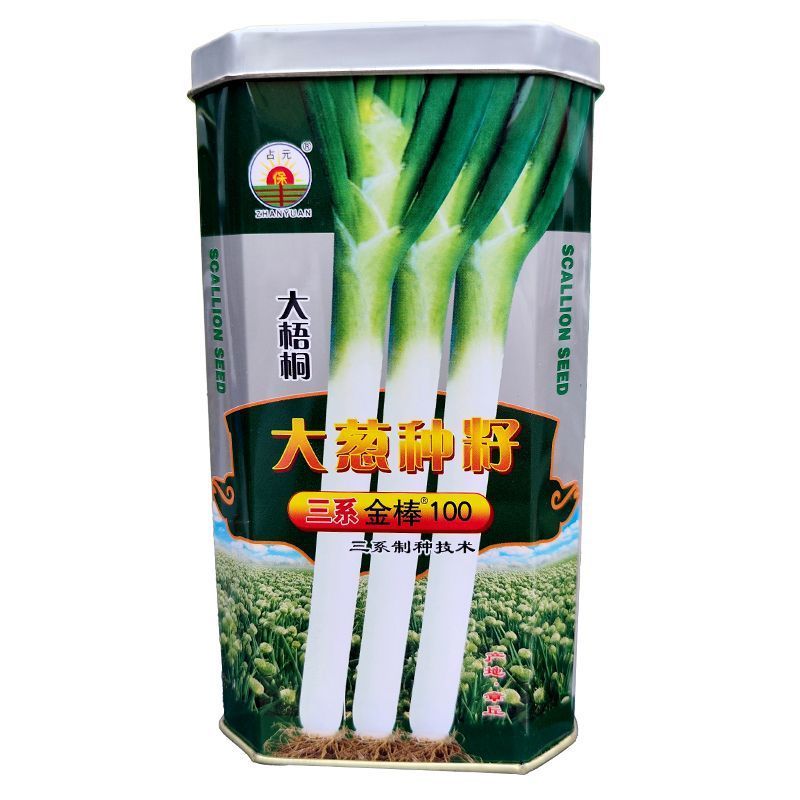 章丘大葱种子200g三系金棒章丘大梧桐大葱种子