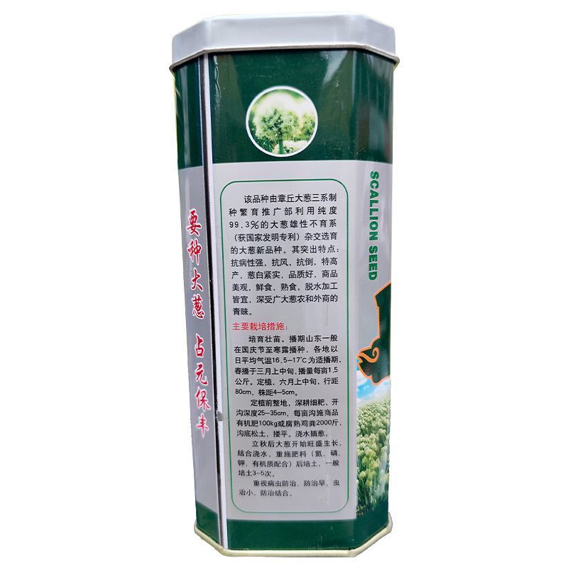 章丘大葱种子200g三系金棒章丘大梧桐大葱种子