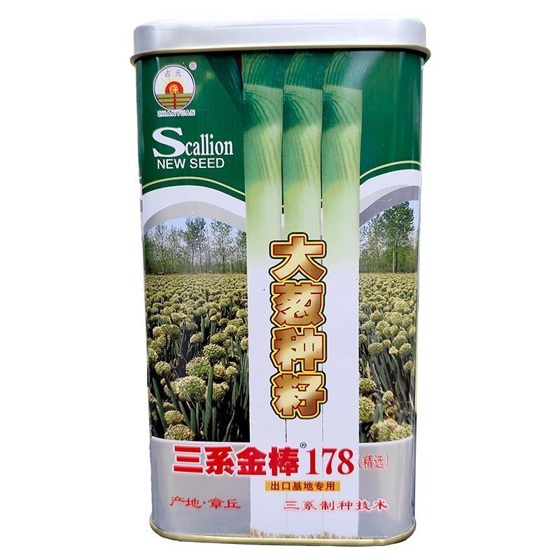 三系金棒章丘大葱种子200g大梧桐大葱种子叶厚抗病