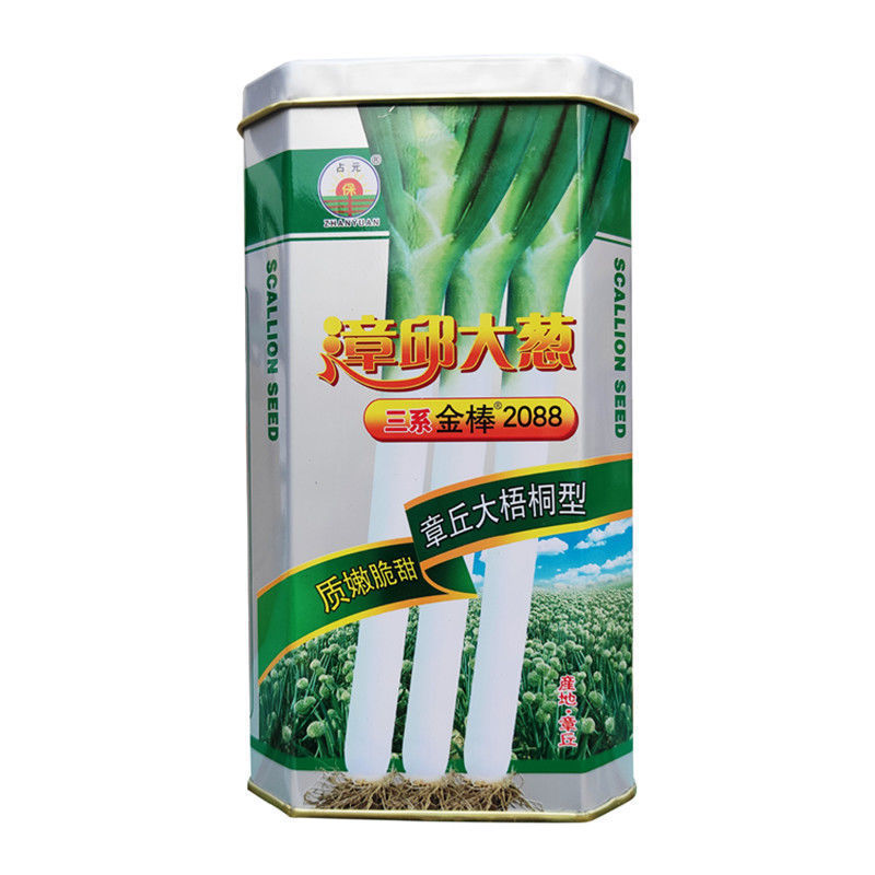 章丘大葱种子200g三系大梧桐大葱种子叶厚抗病白长