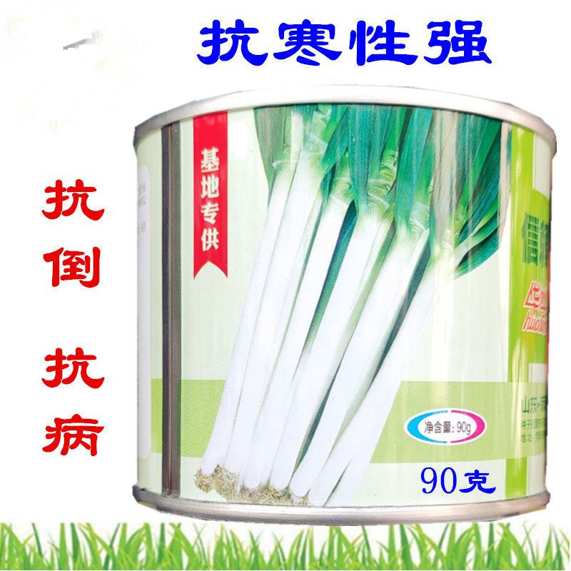 长玉纲葱种子90g大葱种子抗病抗寒抗倒不分权