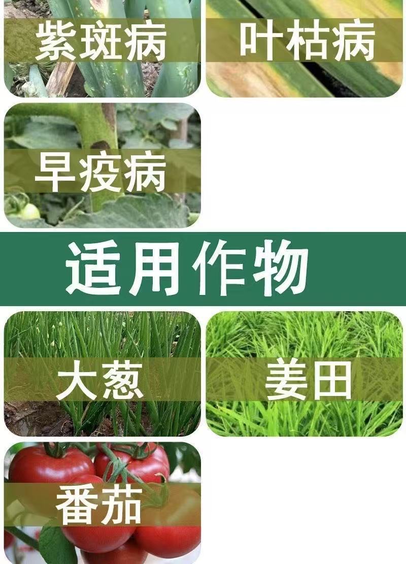 10%苯醚甲环唑农药杀菌剂白粉病叶斑病黑斑病炭疽病