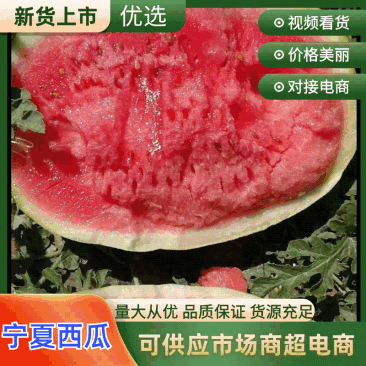【热卖】宁夏西瓜硒砂瓜基地直销量大质优价格优惠