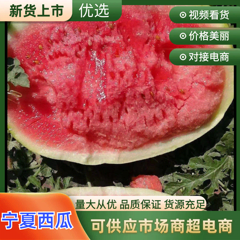 【热卖】宁夏西瓜硒砂瓜基地直销量大质优价格优惠