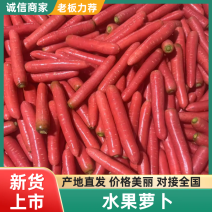 【热卖推荐】陕西水洗水果萝卜红萝卜热卖速抢手慢无