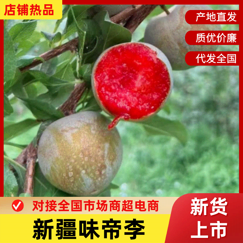 新疆味帝李李子冷链空运一件代发包邮