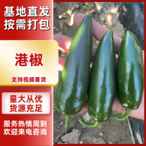 吉林精品港椒，泡椒产地一手货源现货速发大量供应欢迎来电