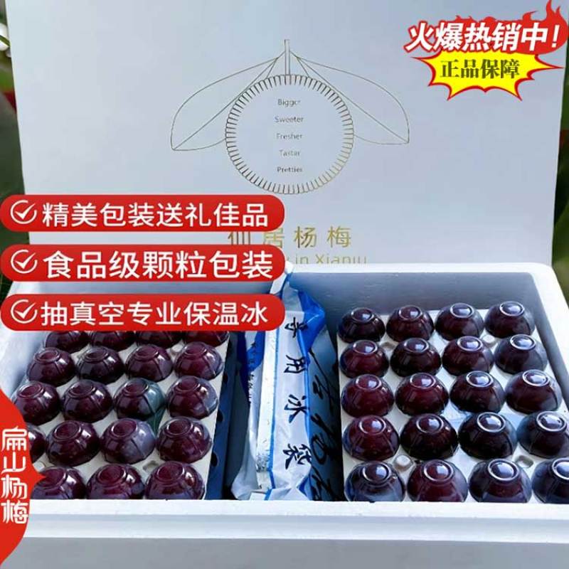 怀化特甜巨大杨梅果树苗湖南杨梅果王地径3-5CM高1M