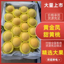 黄金凤，甜黄桃，套袋的huang桃