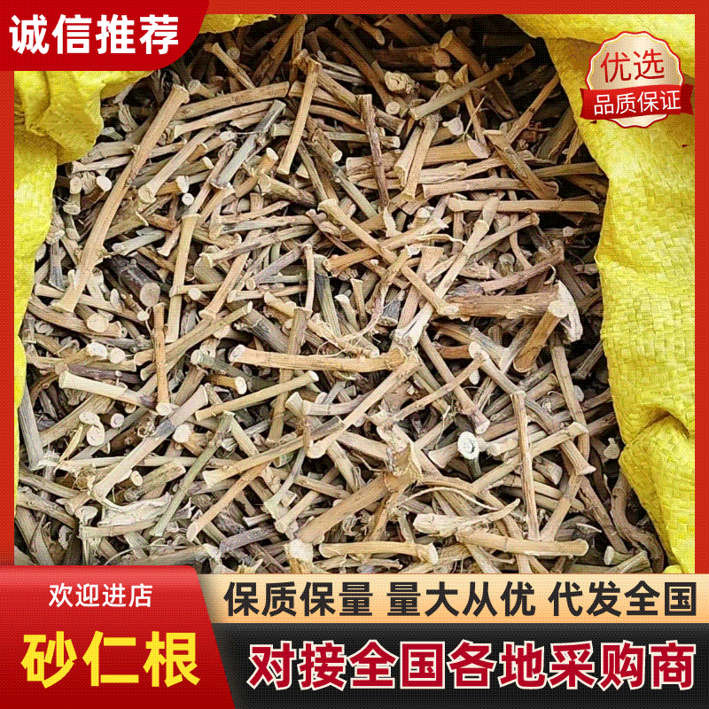 云南砂仁根中药材中药根茎药材精品砂仁根现货大量供应