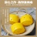 家用手工南瓜早餐大馒头加热速食半成品广式早餐南瓜馒头食品
