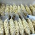 江西广昌通心白莲子大量现货供应，规格齐全，品质高价格可谈