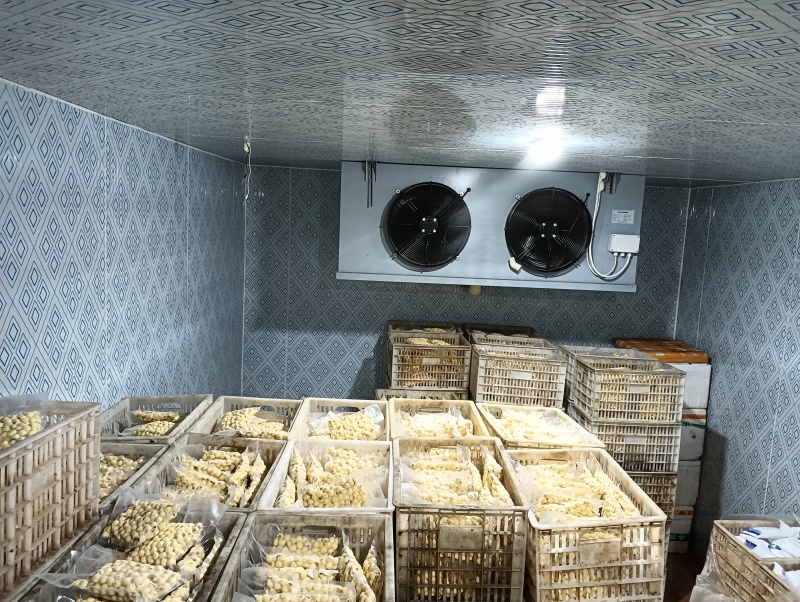 江西广昌通心白莲子大量现货供应，规格齐全，品质高价格可谈