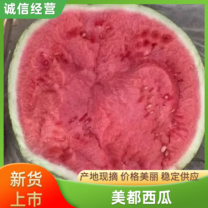 开封美都西瓜无籽西瓜麒麟西瓜产地一手货源十吨起批