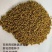 紫花苜蓿草种子甘肃玉门苜蓿草产区玉门苜蓿草种子买好种子拉