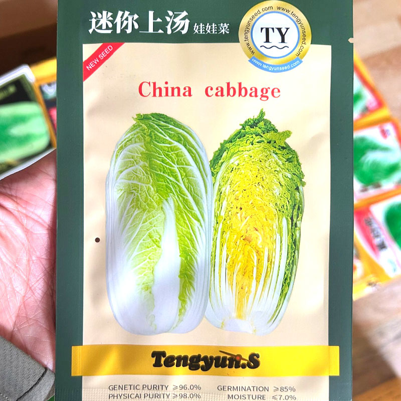 迷你上汤娃娃菜种子直筒黄心娃娃菜种子春秋基地种植
