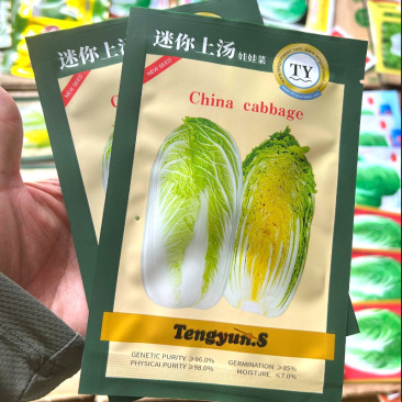 迷你上汤娃娃菜种子直筒黄心娃娃菜种子春秋基地种植