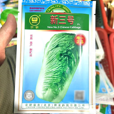 新三号大白菜种子秋季耐运紧实中桩叠抱北京新3号白菜种子