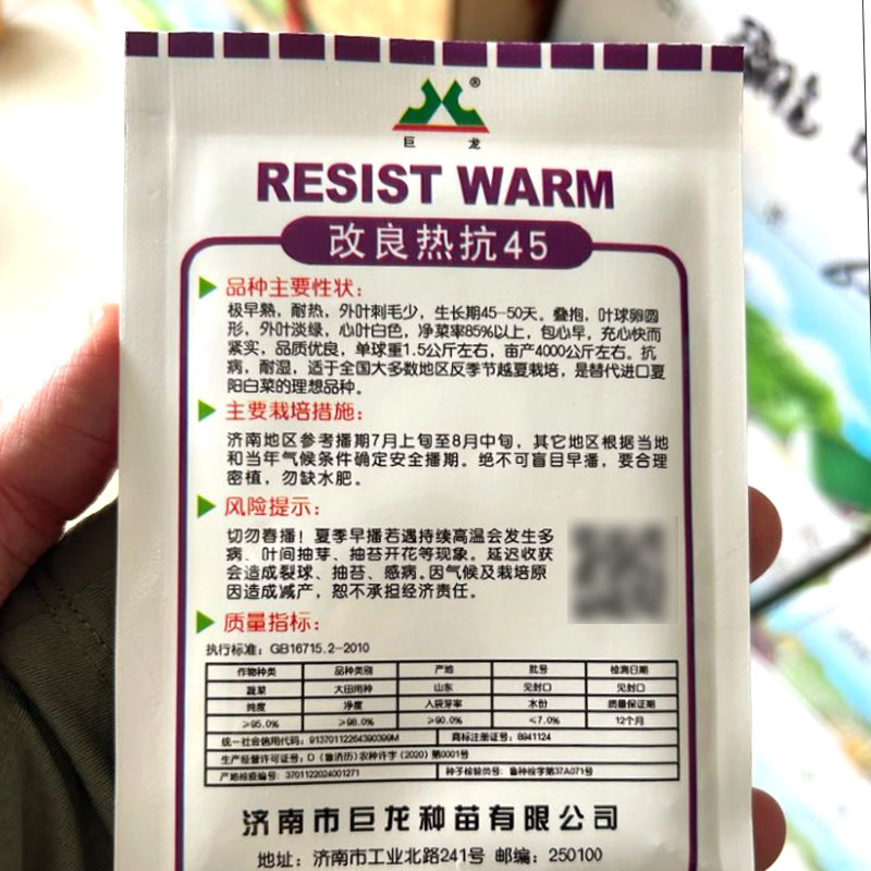 改良热抗45白菜种子早熟耐热包心早结球紧实大田基地品种