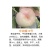 中威果丰中油蟠10号6月初成熟挂树期长风味甜粘核丰