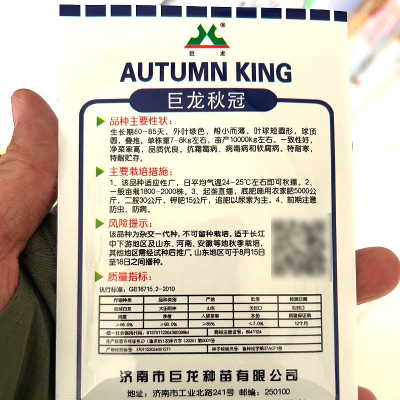 巨龙秋冠白菜种子高产抗病耐寒净菜率高基地大白菜种子