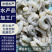 单冻虾仁新鲜原汁无泡发冻虾仁商用水产冻品厂家批发