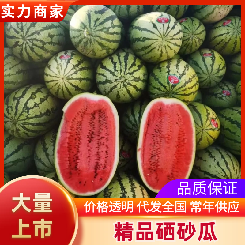 硒砂瓜甘肃石头瓜，规格齐全，品质保证对接批发电商各大平台