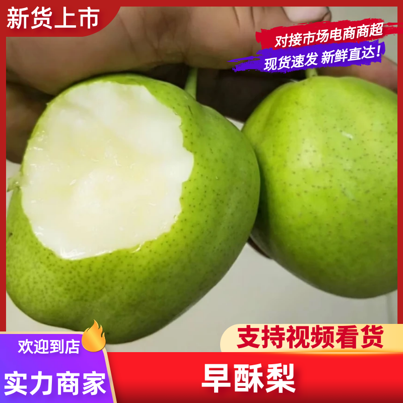 早酥梨陕西酥梨产地一手货源规格齐全，对接批发电商各大平台
