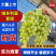 青提葡萄便宜葡萄大量现货供应，规格齐全对接电商市场批发商