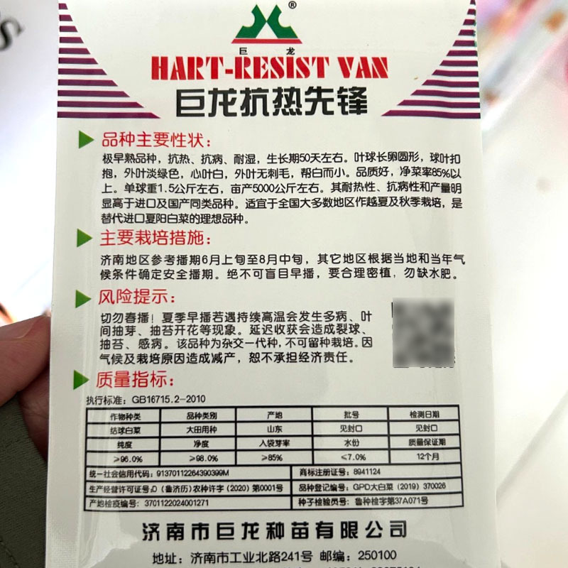 巨龙抗热先锋大白菜种子超夏阳白菜种子早熟耐热抗病