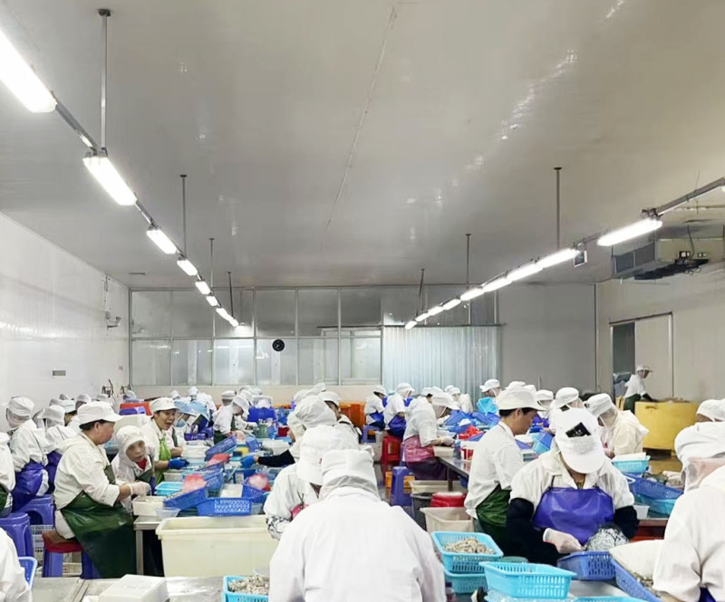 单冻虾仁原汁无泡发新鲜冻虾仁厂家大批量发货商用冻品