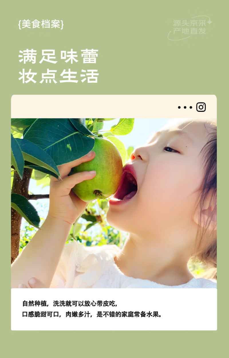 新疆库尔勒香梨全母梨新鲜水果梨子孕妇玉露香梨新7号