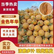甘肃黄金蜜25金色年华对接市场，电商，超市包熟一条龙