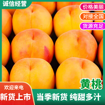 【自然成熟】湖南张家界黄桃自家果园现摘现发欢迎咨询