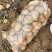 湖北襄阳土豆沃土5号土豆大量上市产地直发，量大从优