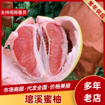 琯溪蜜柚平和柚子基地直发提供一条龙服务欢迎咨询