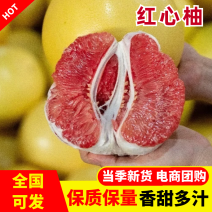 【放心购买】和平红心柚福建红心柚基地直发量大从优