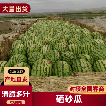 宁夏硒砂瓜石头瓜清甜可口对接全国市场量大从优欢迎采购热卖