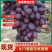 河北A17紫甜无核葡萄规格齐全，量大从优价格可谈货发全国