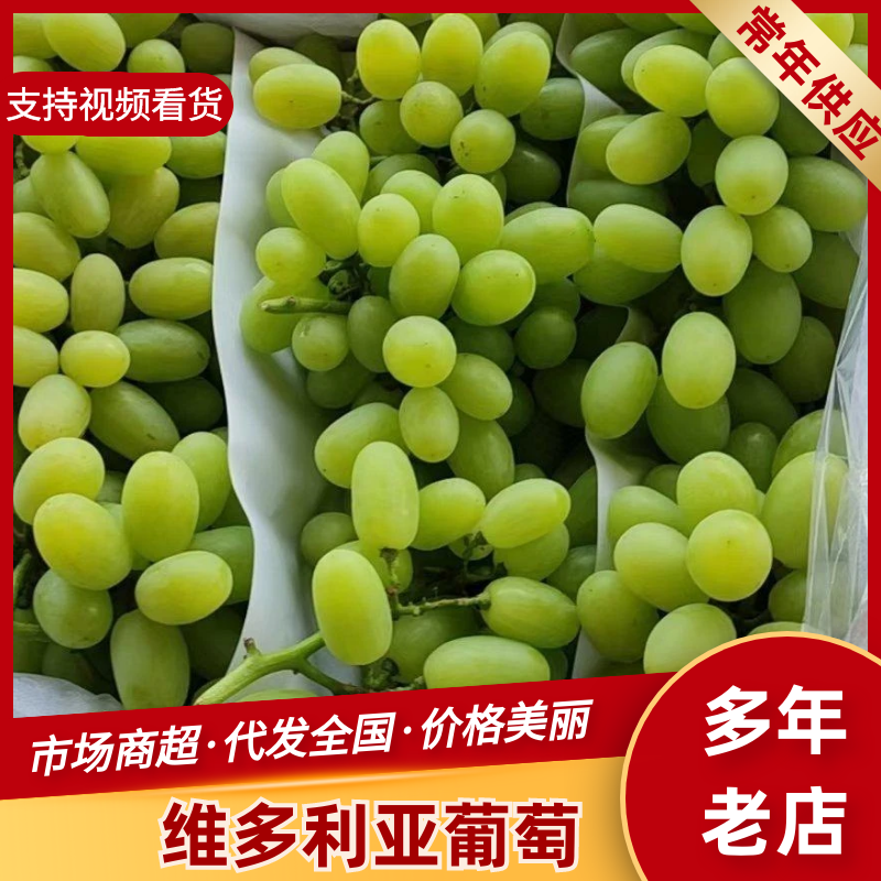 河北维多利亚葡萄青提，品质好糖度高价格低，可视频看货