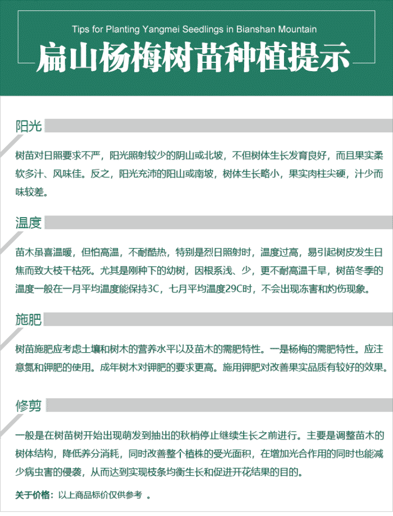 广西杨梅苗培育基地钦州杨梅苗批发高压高杆棒棒糖造型