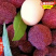 宁德大黑炭杨梅苗龙岩东魁2号泉州永树冠漳州特早熟